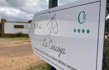 Casa Rural La Coscoja - Foto 32