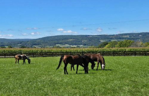 Charming Country Cabin- Cozy, Scenic View, HOT TUB, near CMAC - Foto 27