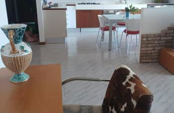 LA TORRE DEL GABBIANO - Foto 9