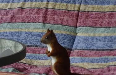 Flämingpanorama - Ländliches Gartenhaus mit Kamin und Naturpanorama - Photo 8