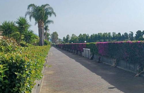 Casa al mare Sicilia - Foto 7