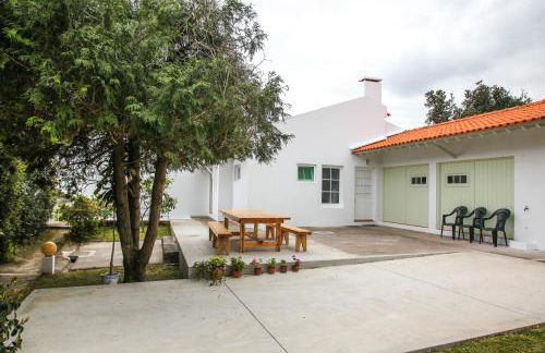 Adega do Mota - Photo 53