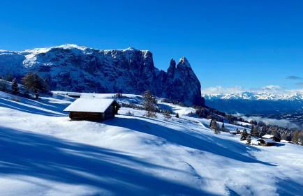 Alpine Chalet CESA VEDLA -nature & silence - Foto 68