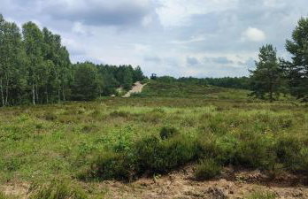 PRZYTULNE MIESZKANIE - Foto 7