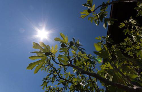 Appartements Kreuzwegerhof - Photo 17