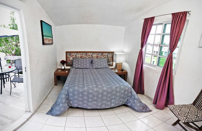 HominngBird - Foto 1