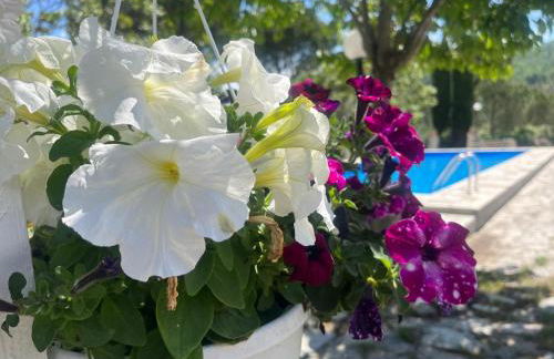 Casa Bianca - Foto 13