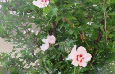 Casa Luna tra Como e Milano - Photo 23