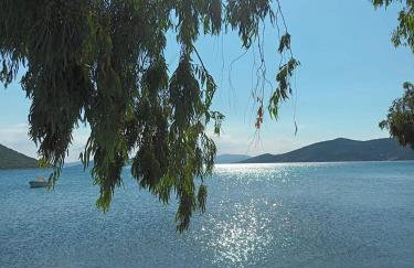 Vitamin Sea house - Foto 15