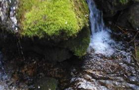 Casa vacanza zia Ersilia - Foto 45