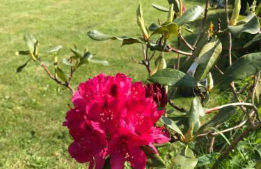 Ferienwohnung Sonnentraum - Foto 33