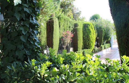 El jardín de la abuela - Foto 33