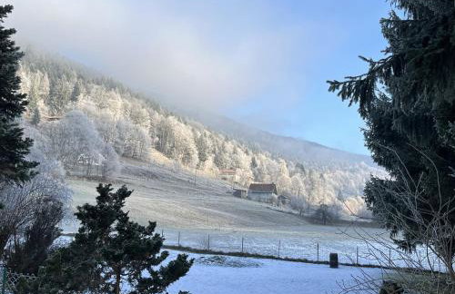 Chalet du Grand Arbre - Foto 9