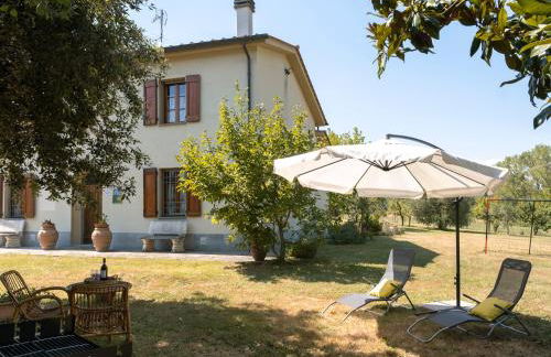 Casale Gli olivi di Dino - Foto 1