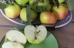 Casa rural los 7 pinos de Gredos - Foto 72