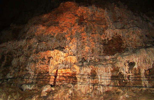 Escursione al Parque Ecoturístico Rancho Nuevo e a El Arcotete - Foto 5