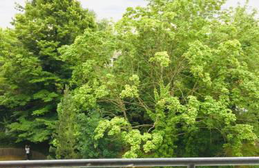 Welcome to Messe!-Two-Bedroom Apartment&Balcony - Foto 21