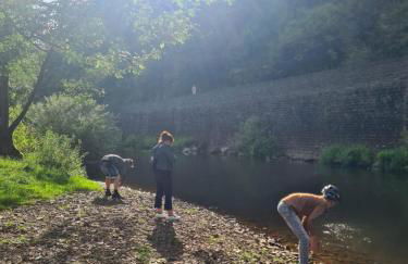 Kleine Milchbar Barrierefrei in den Bergen auf dem Hof Grindelborn - Foto 60