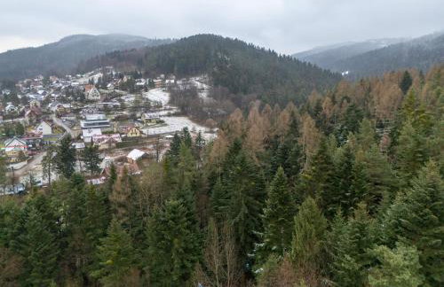 Chata pod lasem z balią i sauną - Foto 57