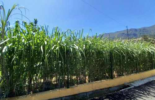 Refúgio do Limoeiro - Foto 26