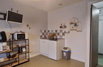 T1 rénové 29 m2 cosy confort ! - Foto 9