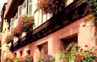 LA TÊTE AU SOLEIL - Foto 18