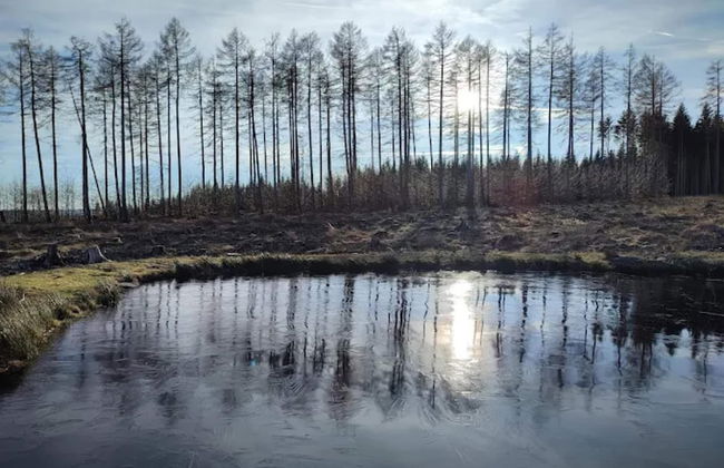 Ferienhaus in Schierke mit Garten - Foto 40