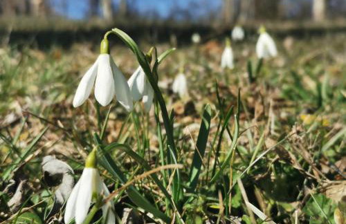 Apartman Sveti Rok - Foto 35