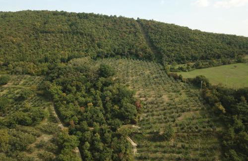 Agriturismo Fattoria Poggio di Fiesole - Foto 29