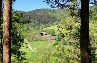 Auszeit im Waldhaus - Foto 23