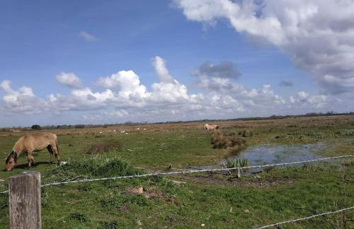 Gîte Les amoureux de la Baie - Foto 34