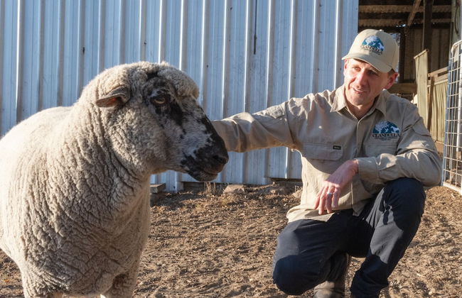 Clandulla Cottages - Foto 50