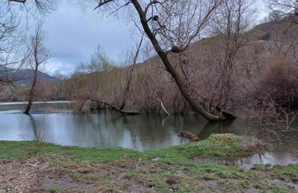 Borén muntanyes i neu - Foto 16