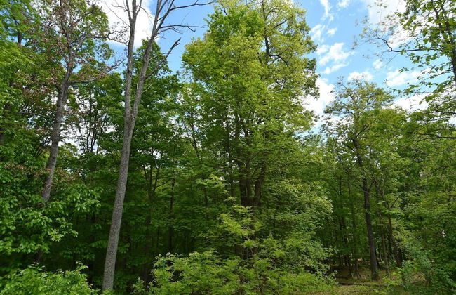 Healing House - Healing Escape - Foto 31