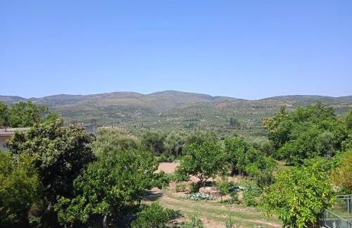 George & Dimitra's House - Foto 26