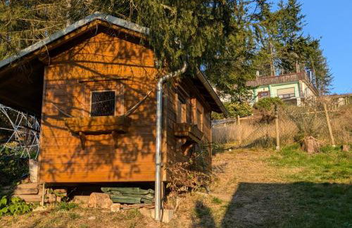 Ferienhaus Goldisthal - Photo 34