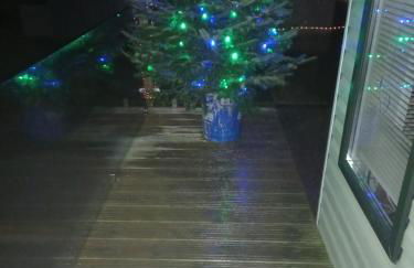 Green Dream - Foto 23