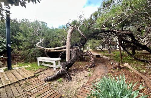 Appartement luxe Le Levant - Foto 30