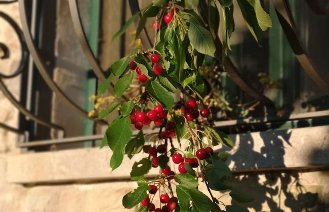 Agriturismo Terra Nostra - Foto 15