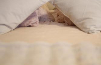 HAVRE DE PAIX - Maison 3 étoiles - Piscine Privée - Europapark - Foto 28