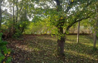 Ferienhaus Marla - Foto 31