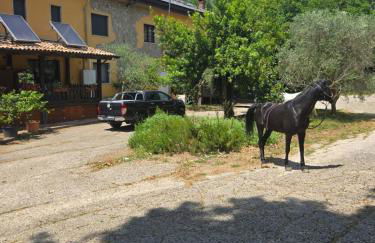 CANTUCCIO nel Verde - Photo 9