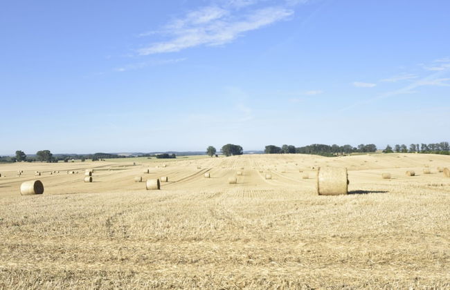 Wohnung bei Kuehlungsborn mit Garten - Foto 21