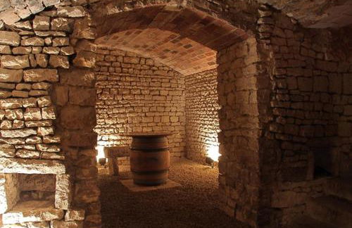 La maison de Lucien, gîte au cœur du vignoble Chablisien - Foto 40