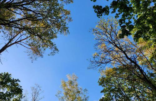 Domki Mazury z sauną i jacuzzi! - Foto 47