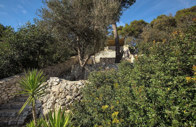 Pajara Acquaviva - Foto 22