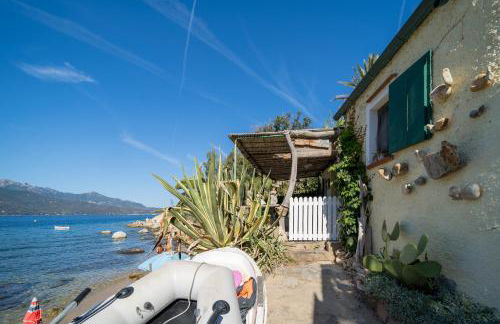 Agave direclty on the beach - Goelba - Foto 33