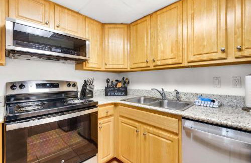 Sand Dollar E-101 - Foto 14