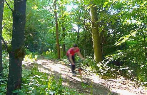 Le Moulin de la Touche Minoterie Piscine - Foto 34