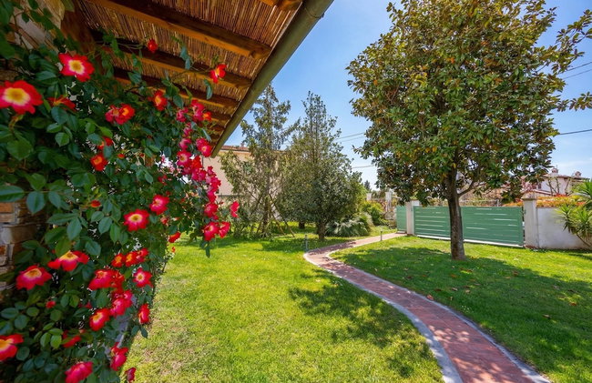 Villa Clara few km from the sea - Foto 39